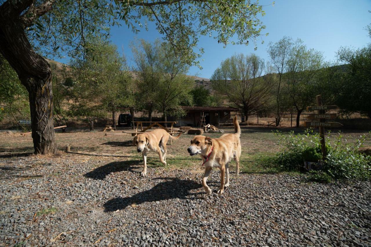 Orias Guesthouse & Farm Kalavryta Exteriér fotografie